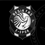 besiktas-banner